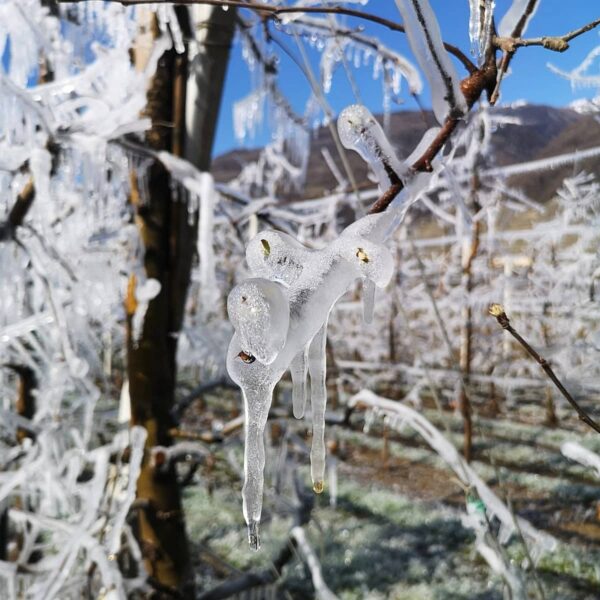solstizio d'inverno