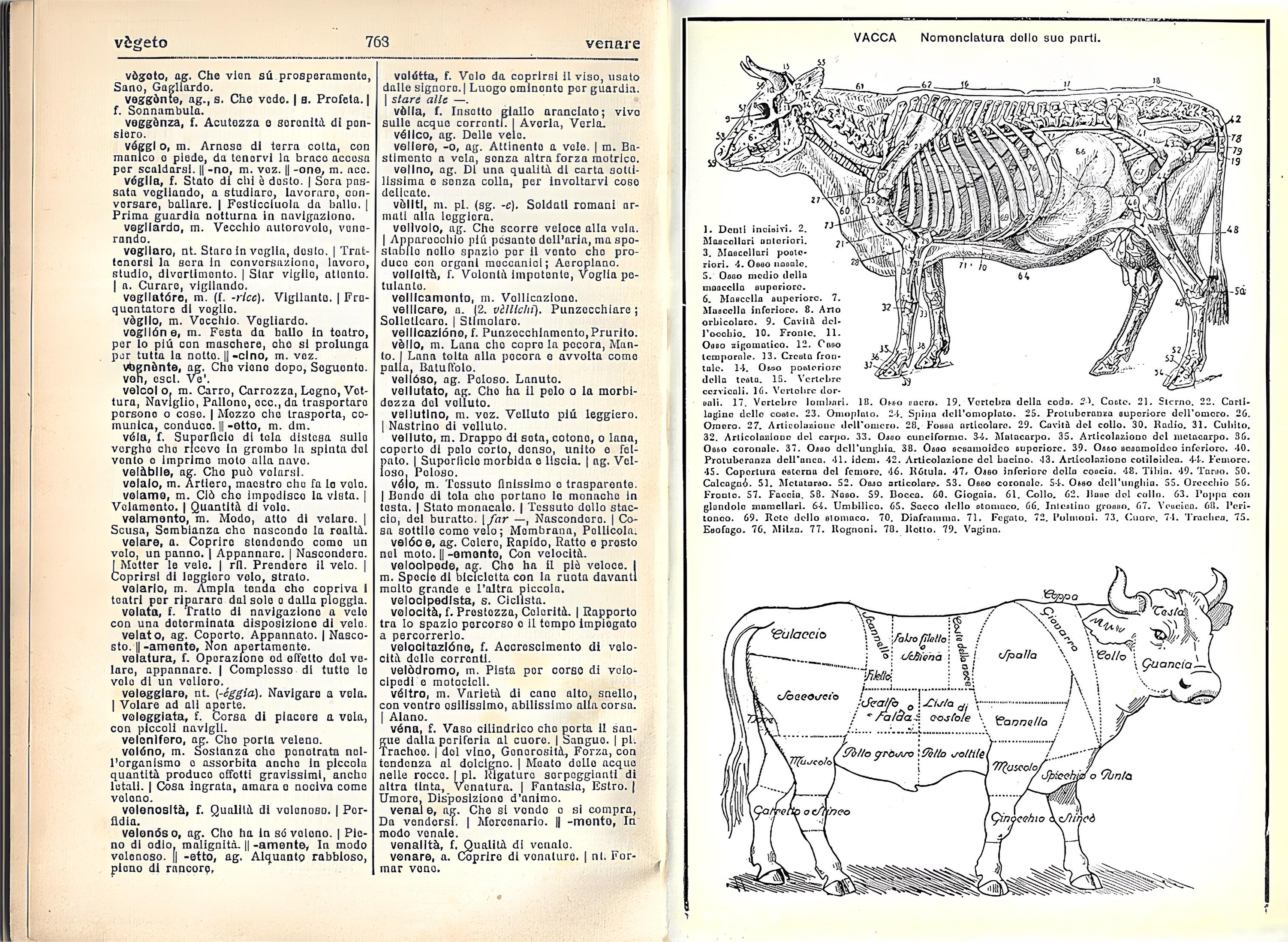 35 Vocabolario della lingua italiana, 14