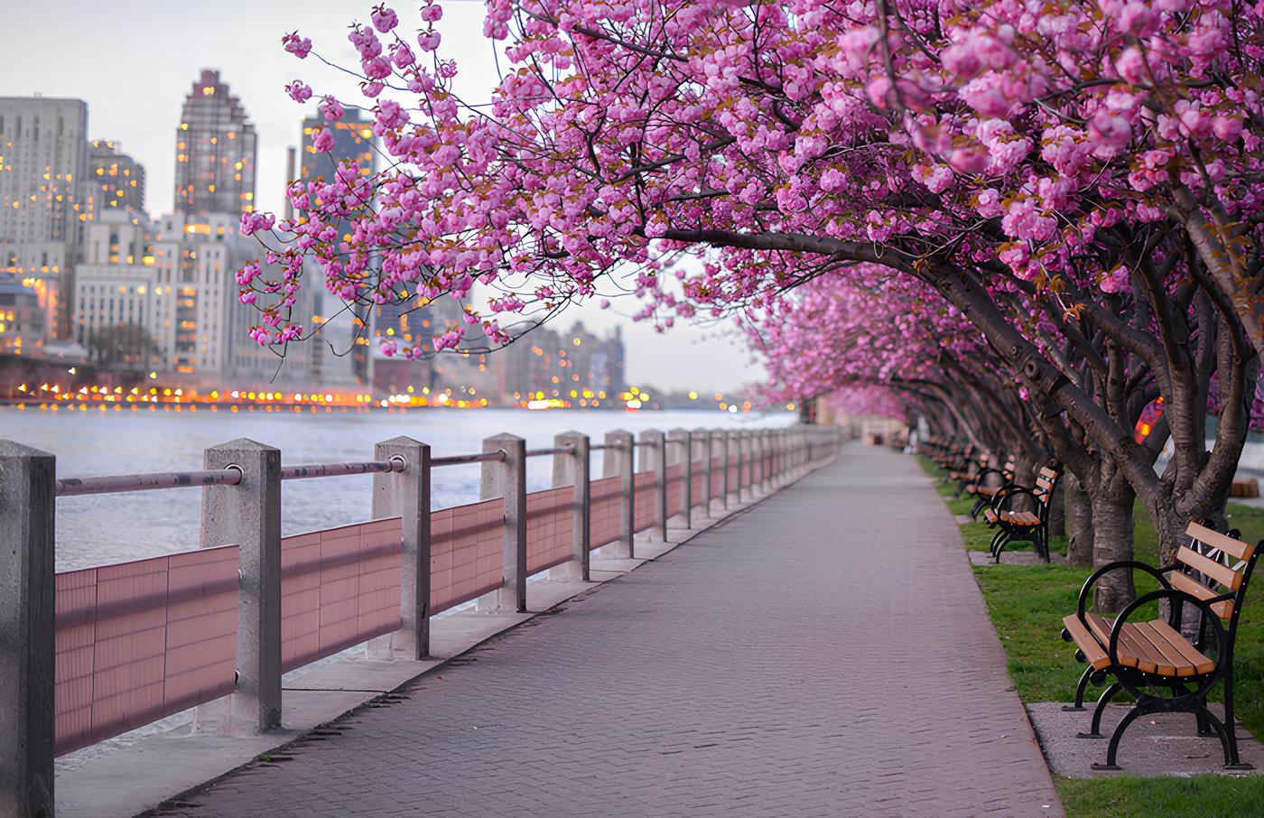 Equinozio Primavera @Ansa