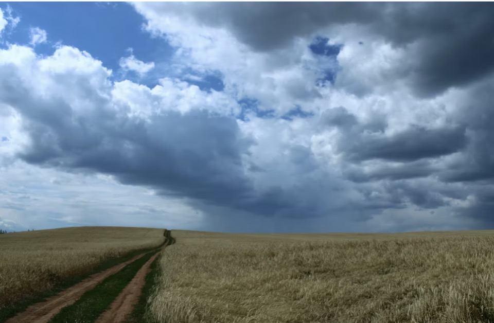 GIobbe e la domanda sul dolore