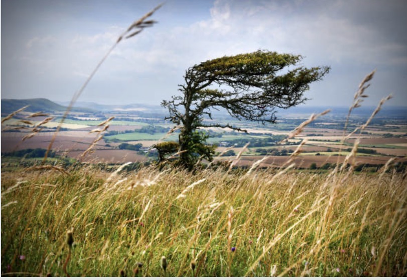 Quando la fede non ha risposte ma resiste